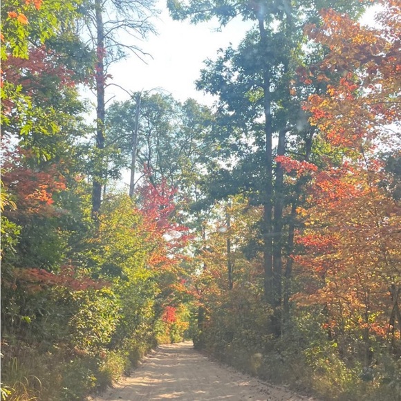 LIVE Jammin' with Jenn - Picture 6 of 9